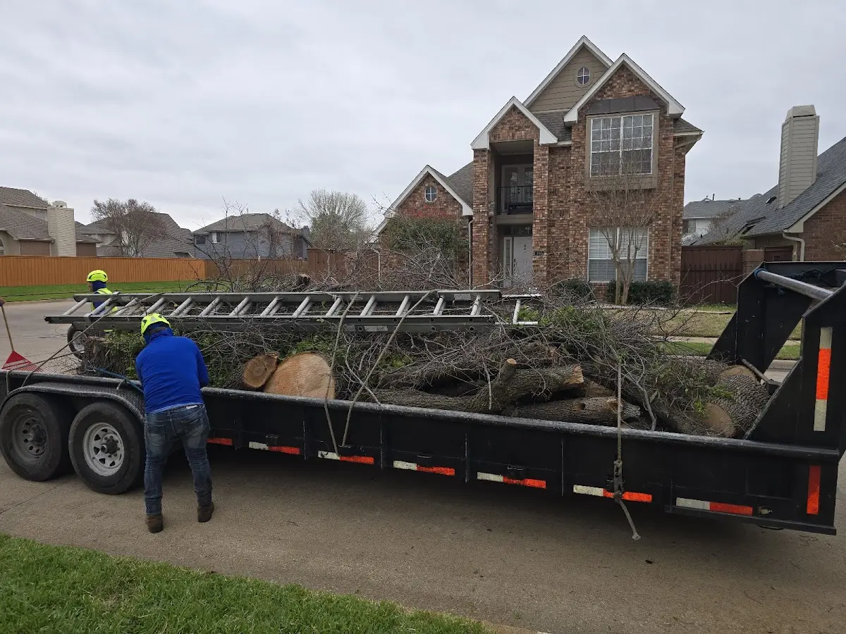 Expert Tree Fertilization with proper safety equipment in Lacona